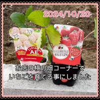 画像257