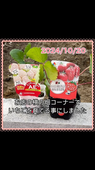 画像257